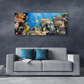 Tablouri acrilice Coral Reef Natura Multi