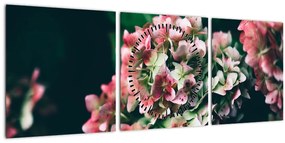 Tablou - Hortensie (cu ceas) (90x30 cm)