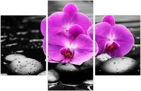 Tablou - Orhidee violet (90x60 cm)