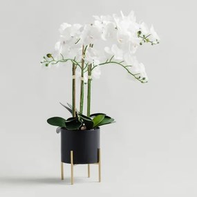 Floare decorativa orchidanos