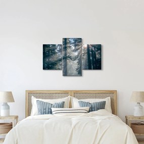 Tablou cu copaci și soarele translucind (90x60 cm)