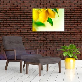 Tablou pe sticlă cu lămâi (70x50 cm)