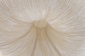 Lustră suspendată din hârtie și oțel, 28 x 55,5 cm, „Senlis”