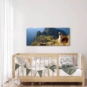 Tablou - Lama și Machu Picchu (120x50 cm)