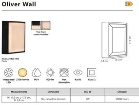 Aplica de perete / tavan exterior IP54 Oliver Black