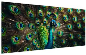 Tablou – Păun (120x50 cm)