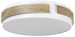 Rabalux 5646 - Plafonieră LED SALMA reglabilă, 24W, 230V