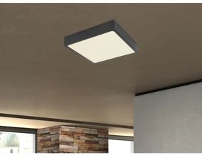 Globo 12369-30 - Plafonieră LED ECHO LED/28W/230V