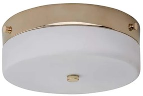 Plafonieră LED pentru baie Elstead TAMAR-F-M-PG TAMAR 1xGX53/5,7W/230V IP44