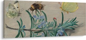 Tablou - Jan van Kessel the Elder, Insects and a Sprig of Rosemary, reproducere (120x50 cm)