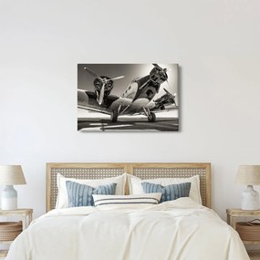 Tablou - Avioane istorice (90x60 cm)