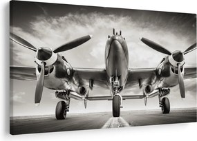 Tablou - Warbird (90x60 cm)