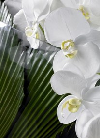 Aranjament floral elegant PHALENO CASCADE 1140969.95