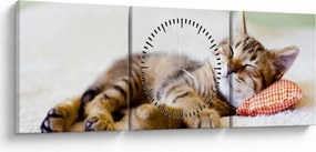 Tablou - Pisicuța adormită (cu ceas) (90x30 cm)
