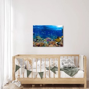 Tablou - Ocean (70x50 cm)