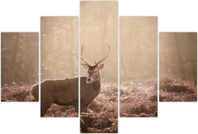 Tablou - Cerb în pădure (150x105 cm)