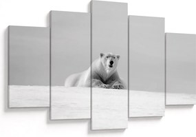 Tablou - Ursul polar (150x105 cm)