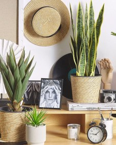 Plantă artificială 63 cm SAPLE. 1022764