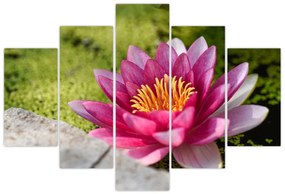 Tablou - Lotus (150x105 cm)