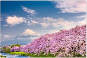 Tablou - Peisaj de primăvară japonez (90x60 cm)