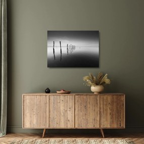 Tablou pe sticlă cu nivelul de lac alb negru (70x50 cm)
