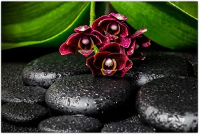 Tablou - Pietre de lavă (90x60 cm)