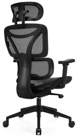 Scaun ergonomic de birou LEVANO negru