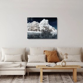 Tablou pe sticlă - Albă ca Zăpada Albă ca Zăpada Copaci (70x50 cm)