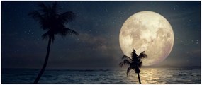 Tablou - Plaja cu lună plină (120x50 cm)
