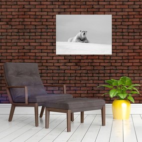 Tablou pe sticlă - Ursul polar (70x50 cm)