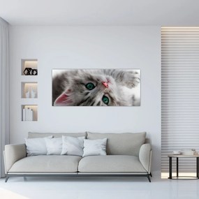 Tablou - Pisica cu ochi verzi (120x50 cm)