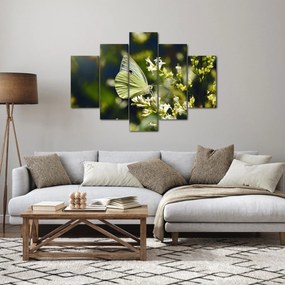 Tablou cu fluture (150x105 cm)