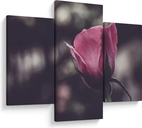 Tablou - Detaliu florii de trandafir (90x60 cm)