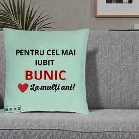 Cadou pentru Bunic - Perna Personalizata Pentru Cel Mai Iubit Bunic La Multi Ani Rosu, 40x40 cm, Verde Menta, Husa Detasabila, Perna Inclusa, BEKZ®