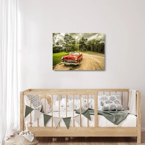 Tablou pe sticlă - mașina veteran în natură (70x50 cm)
