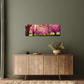 Tablou - Cireși înfloriți, Hurd Park, Dover, New Jersey (cu ceas) (90x30 cm)