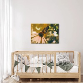Tablou cu fluture pe floare (70x50 cm)