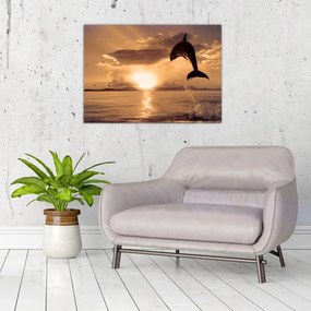 Tablou pe sticlă - Delfin la apus de soare (70x50 cm)