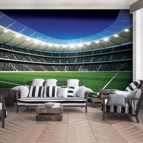 Fototapet - Stadion de fodbal (254x184 cm)