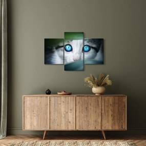Tablou cu pisica (90x60 cm)
