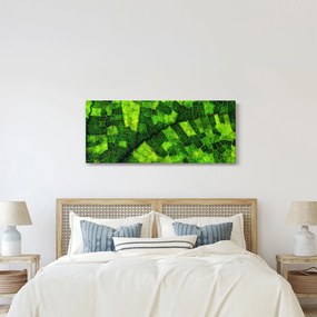 Tablou - Detaliu frunze (120x50 cm)