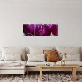 Tablou cu lalele (cu ceas) (90x30 cm)