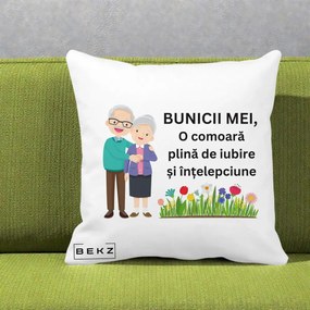 Cadou pentru Bunici - Perna Personalizata Bunicii Mei Comoara Cuplu Senior cu Flori Colorat, 40x40 cm, Alba Mata, Husa Detasabila, Perna Inclusa, BEKZ®