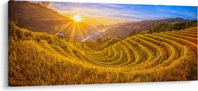 Tablou - Terasele de orez din Vietnam (120x50 cm)
