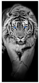Fotojaluzele R014968R57150 (57x150 cm)