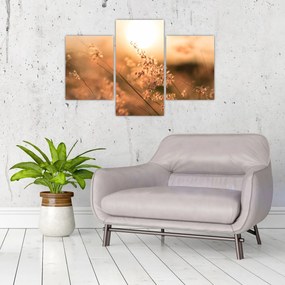 Tablou - Iarbă la soare (90x60 cm)