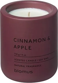 Lumânare parfumată din ceară de soia timp de ardere 24 h Fraga: Cinnamon &amp; Apple – Blomus
