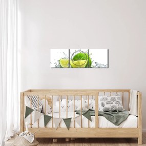 Tablou - Limes (cu ceas) (90x30 cm)