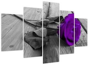 Tablou - Trandafir violet cu tulpina verde (150x105 cm)