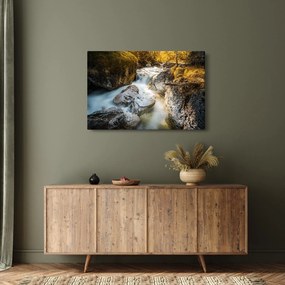 Tablou - Râul din pădure (90x60 cm)